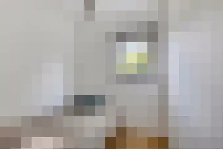 De Valouwe 59 Appelscha thumbnail 12