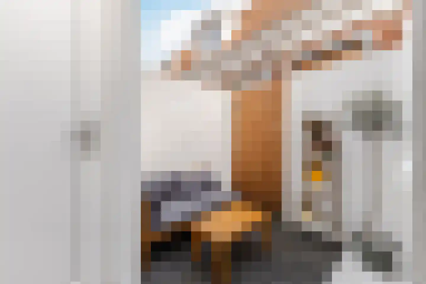 De Valouwe 59 Appelscha thumbnail 14