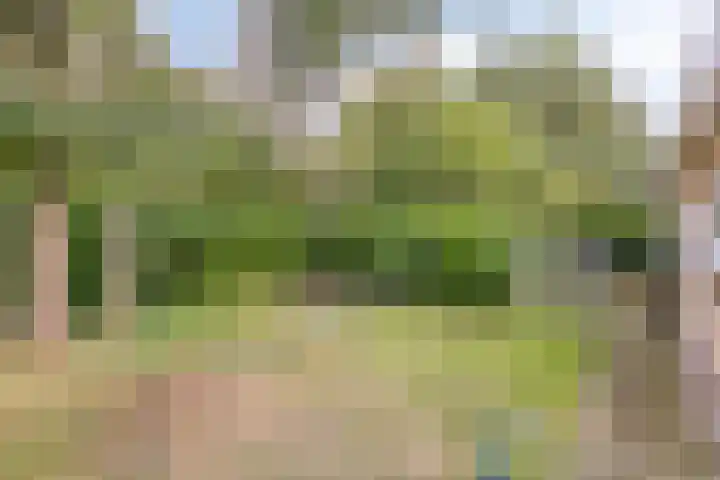 De Valouwe 59 Appelscha thumbnail 15