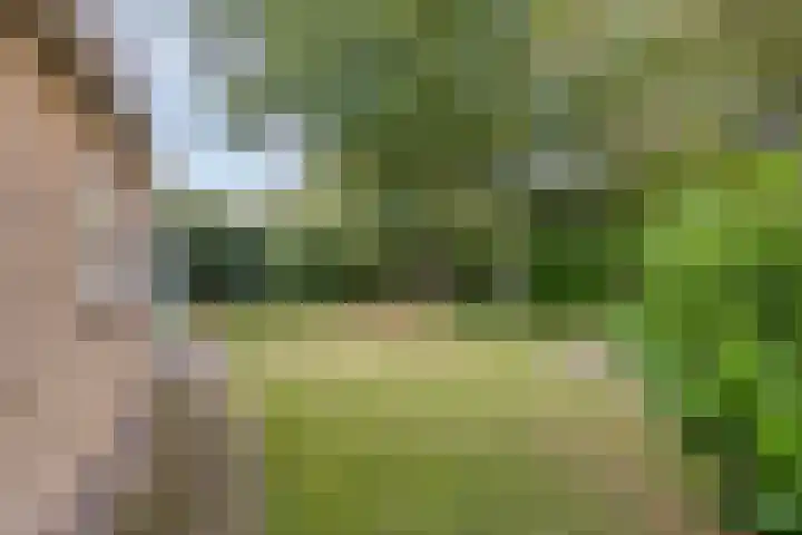 De Valouwe 59 Appelscha thumbnail 16