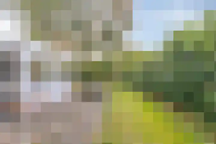 De Valouwe 59 Appelscha thumbnail 18