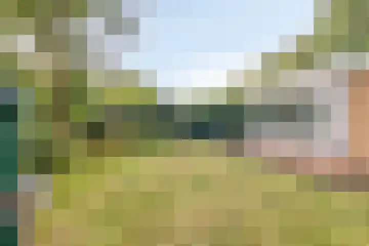 De Valouwe 59 Appelscha thumbnail 20