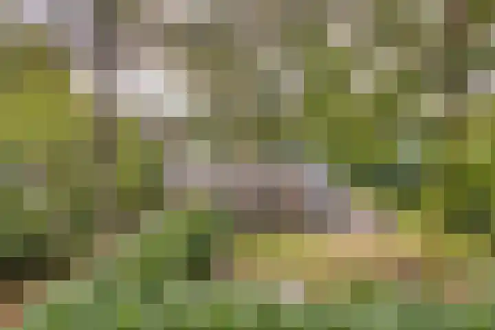 De Valouwe 59 Appelscha thumbnail 24