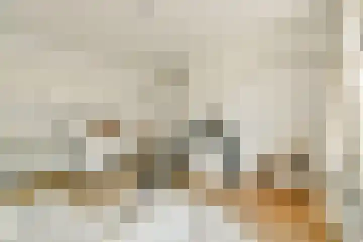 De Valouwe 59 Appelscha thumbnail 26