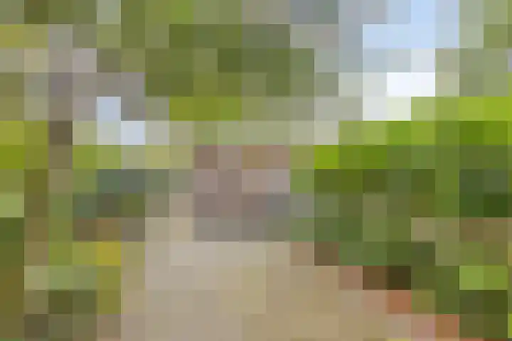 De Valouwe 59 Appelscha thumbnail 4