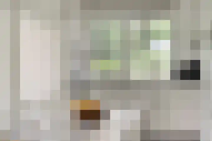 De Valouwe 62 Appelscha thumbnail 12