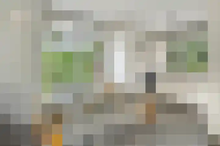De Valouwe 62 Appelscha thumbnail 13