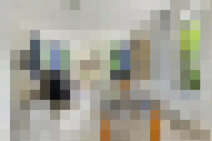 De Valouwe 62 Appelscha thumbnail 14