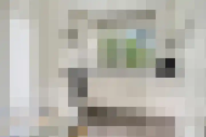 De Valouwe 62 Appelscha thumbnail 15