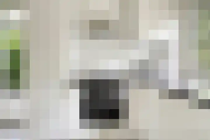 De Valouwe 62 Appelscha thumbnail 16