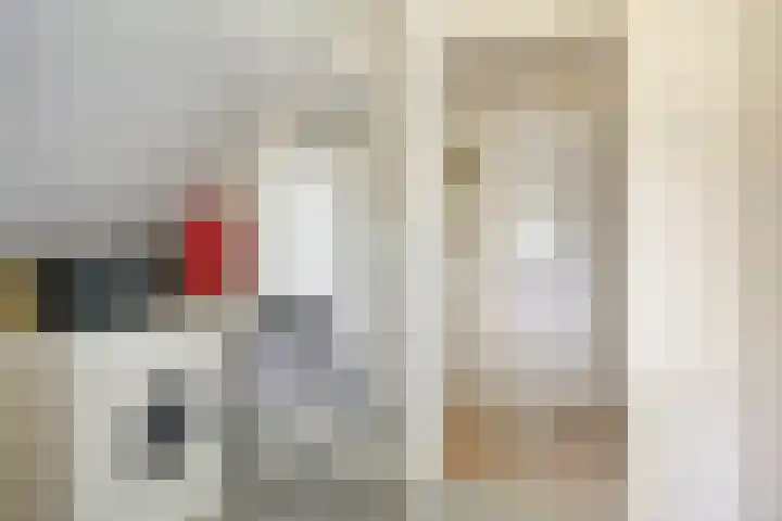 De Valouwe 62 Appelscha thumbnail 23
