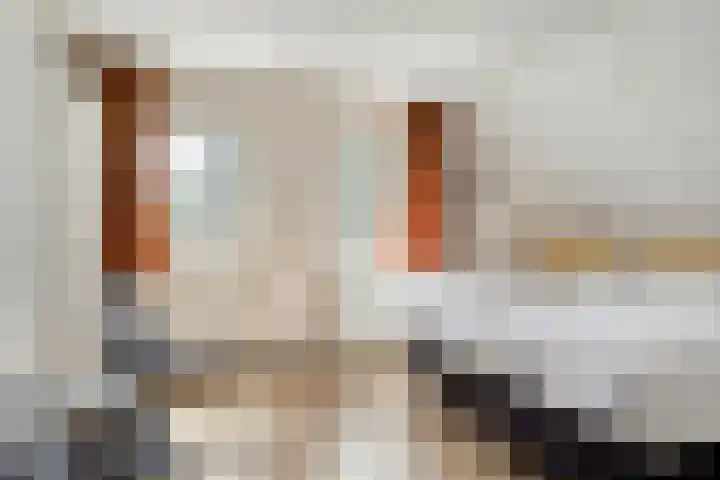 De Valouwe 62 Appelscha thumbnail 24