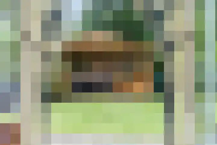De Valouwe 62 Appelscha thumbnail 29