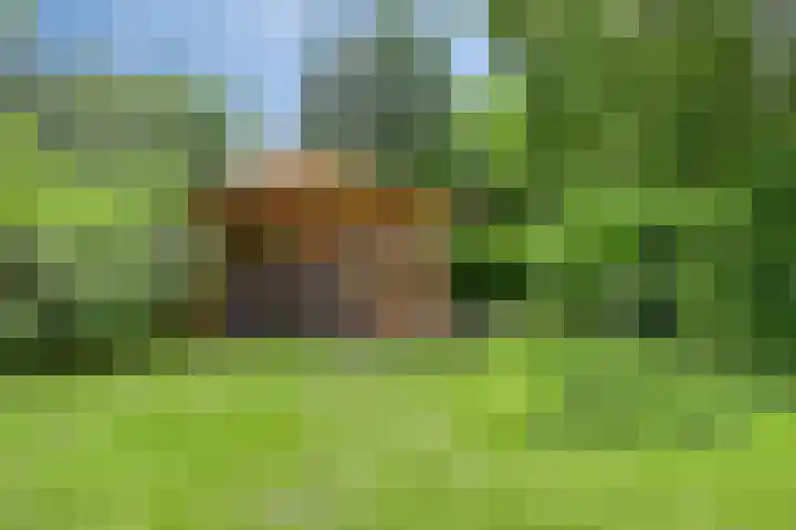 De Valouwe 62 Appelscha thumbnail 30