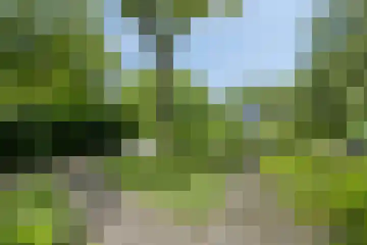 De Valouwe 62 Appelscha thumbnail 35
