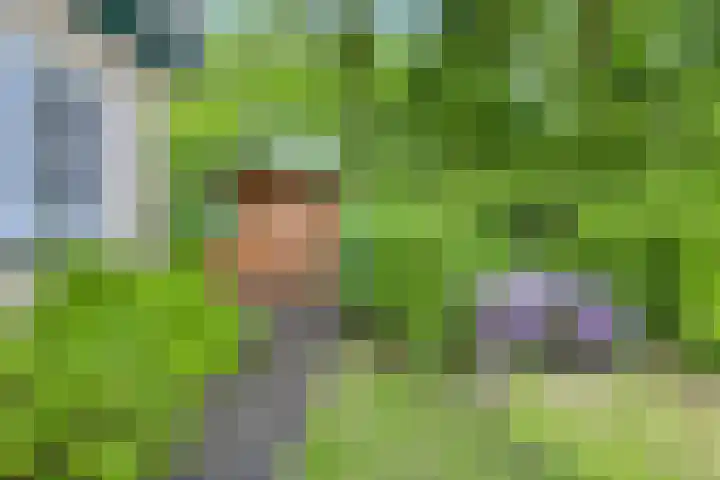 De Valouwe 62 Appelscha thumbnail 36