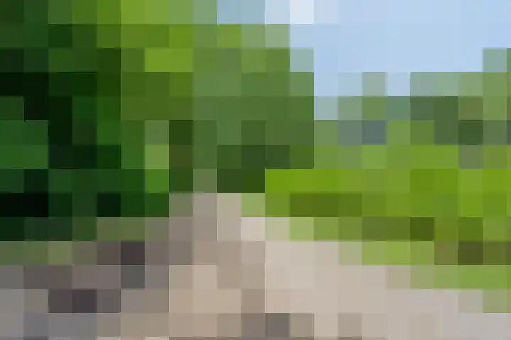 De Valouwe 62 Appelscha thumbnail 38