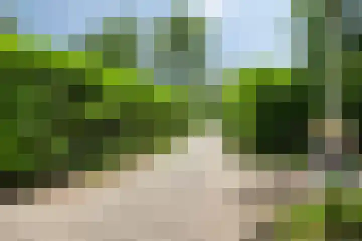 De Valouwe 62 Appelscha thumbnail 39