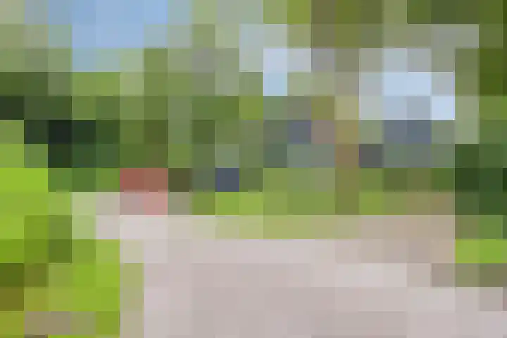 De Valouwe 62 Appelscha thumbnail 4