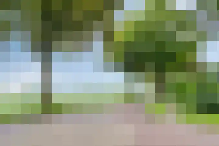 De Valouwe 62 Appelscha thumbnail 41
