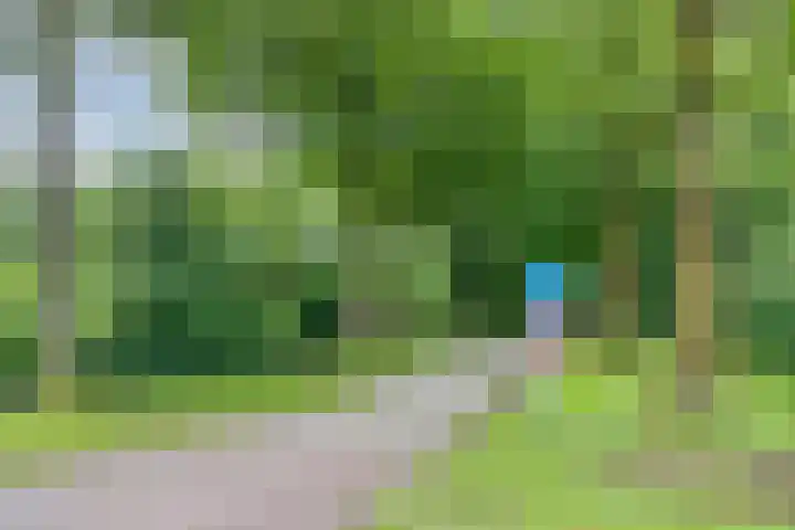 De Valouwe 62 Appelscha thumbnail 42