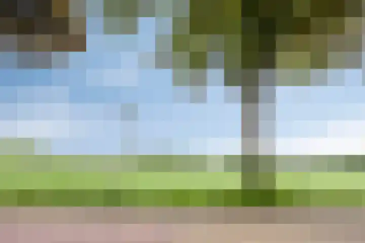De Valouwe 62 Appelscha thumbnail 43