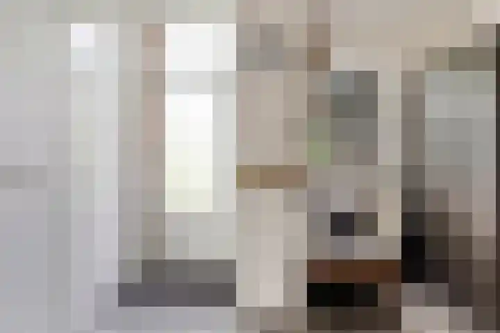 De Valouwe 62 Appelscha thumbnail 5