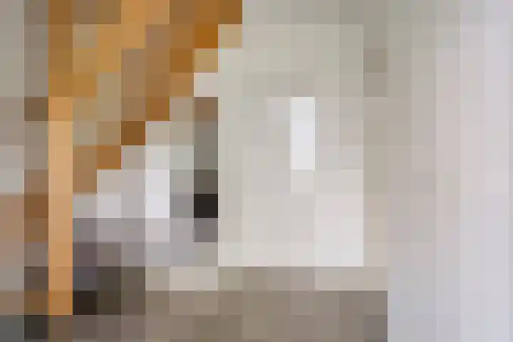 De Valouwe 62 Appelscha thumbnail 6