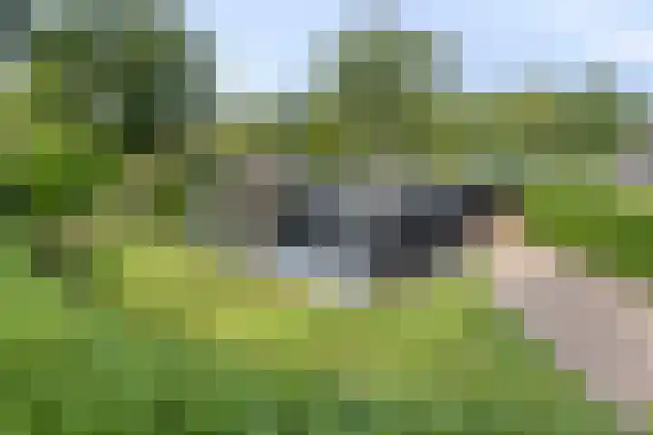 De Valouwe 65 en Appelscha