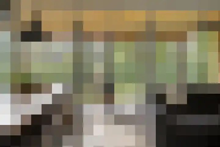 De Valouwe 65 Appelscha thumbnail 10