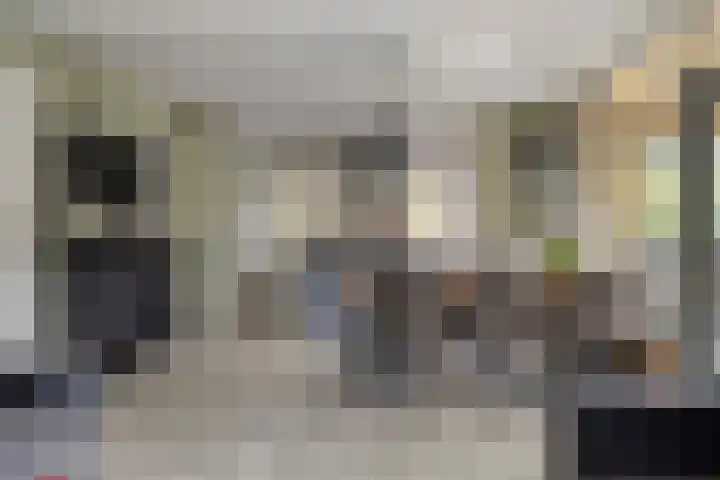 De Valouwe 65 Appelscha thumbnail 11