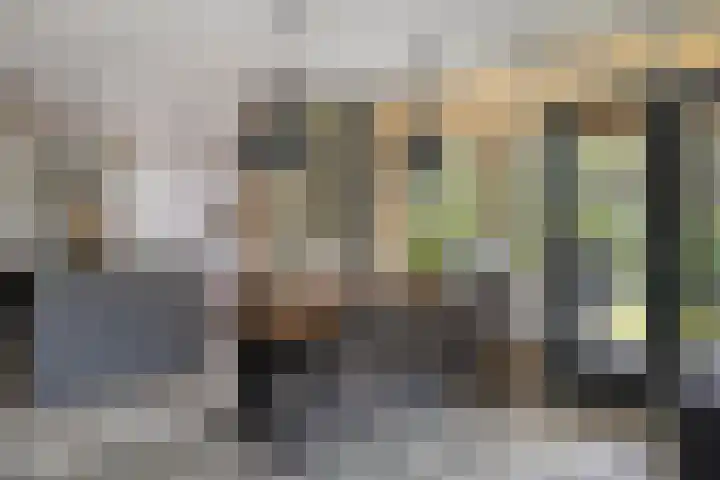 De Valouwe 65 Appelscha thumbnail 12