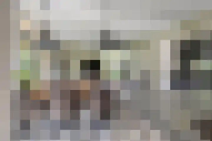 De Valouwe 65 Appelscha thumbnail 16