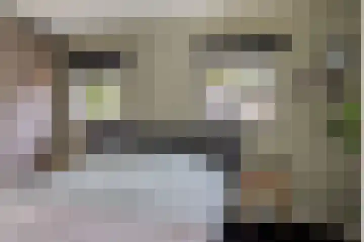 De Valouwe 65 Appelscha thumbnail 17