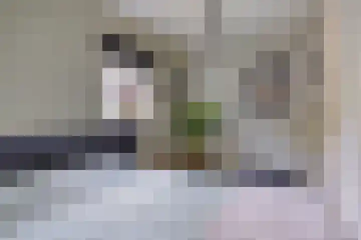 De Valouwe 65 Appelscha thumbnail 18