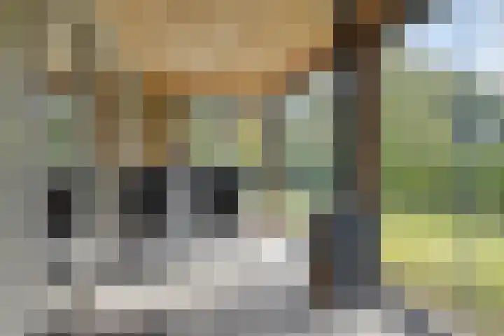 De Valouwe 65 Appelscha thumbnail 22