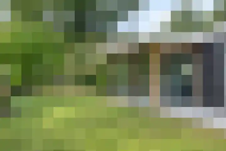 De Valouwe 65 Appelscha thumbnail 28