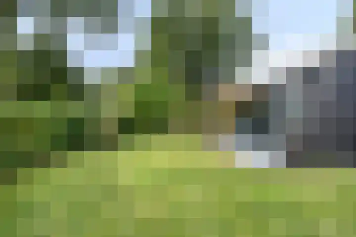 De Valouwe 65 Appelscha thumbnail 29