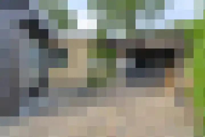De Valouwe 65 Appelscha thumbnail 34