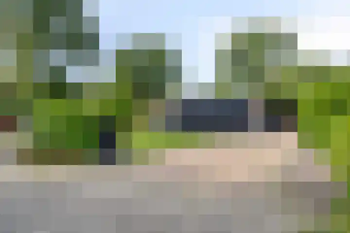 De Valouwe 65 Appelscha thumbnail 36