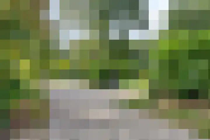 De Valouwe 65 Appelscha thumbnail 37