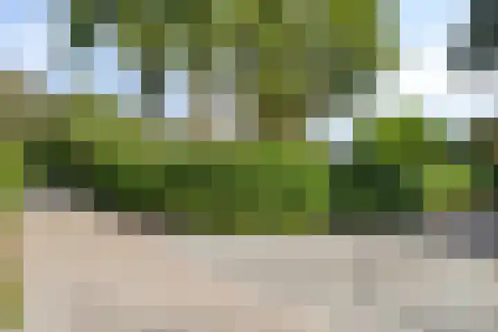 De Valouwe 65 Appelscha thumbnail 38