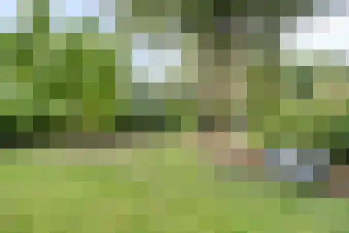 De Valouwe 65 Appelscha thumbnail 4