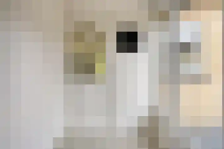 De Valouwe 65 Appelscha thumbnail 6