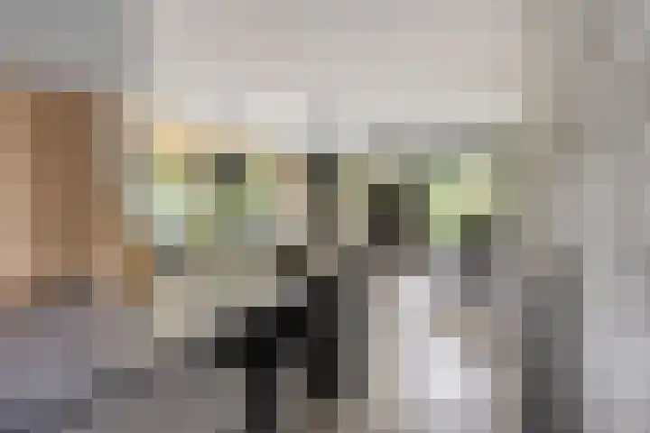 De Valouwe 65 Appelscha thumbnail 7