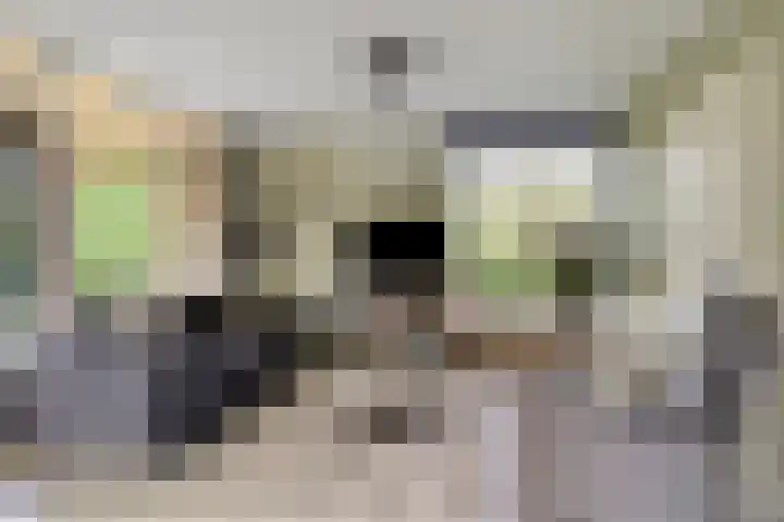 De Valouwe 65 Appelscha thumbnail 8