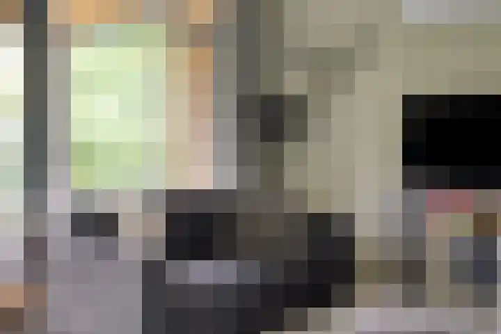 De Valouwe 65 Appelscha thumbnail 9