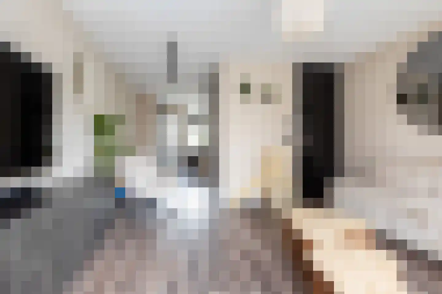 De van der Schuerenmarke 71 Zwolle thumbnail 10