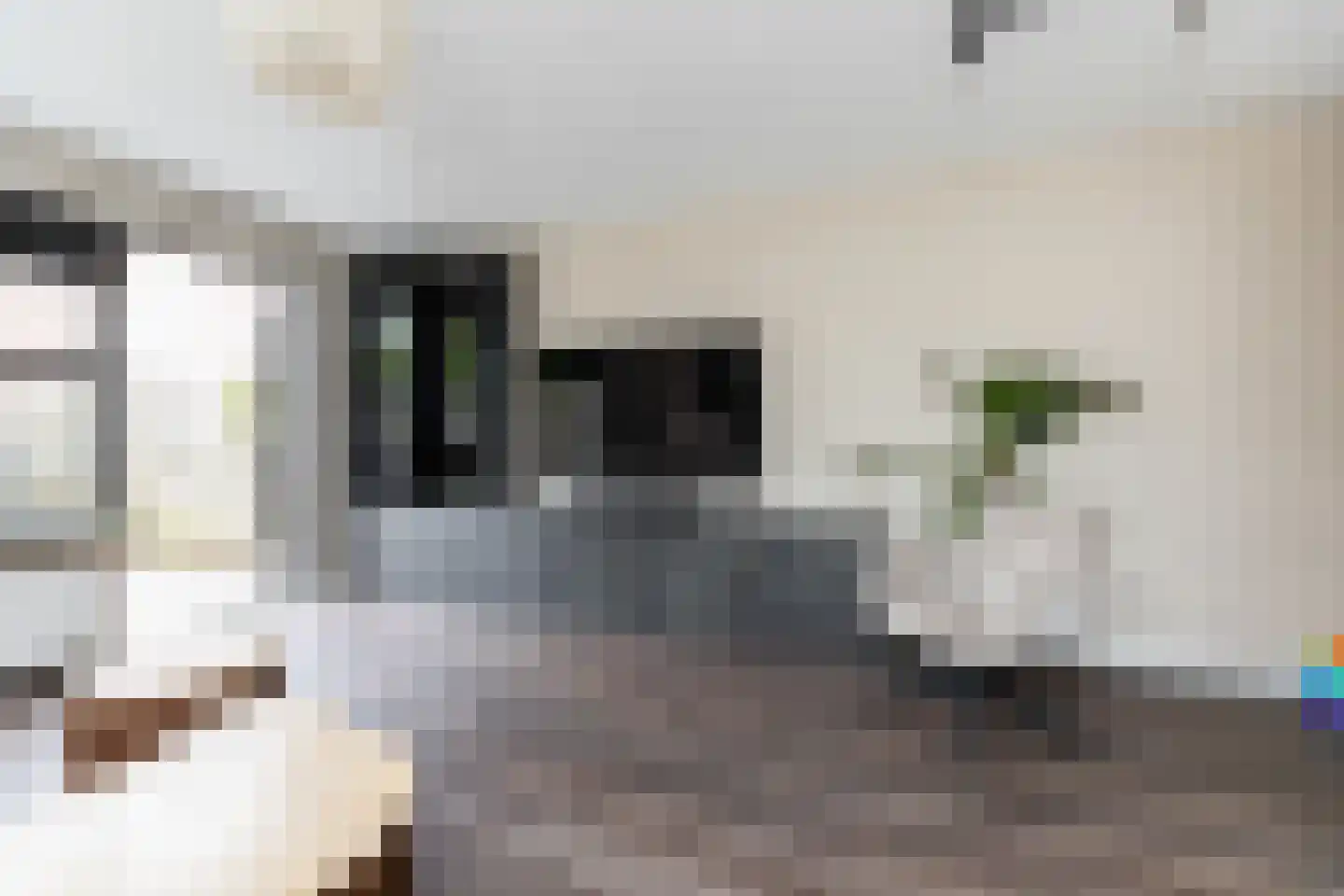 De van der Schuerenmarke 71 Zwolle thumbnail 12