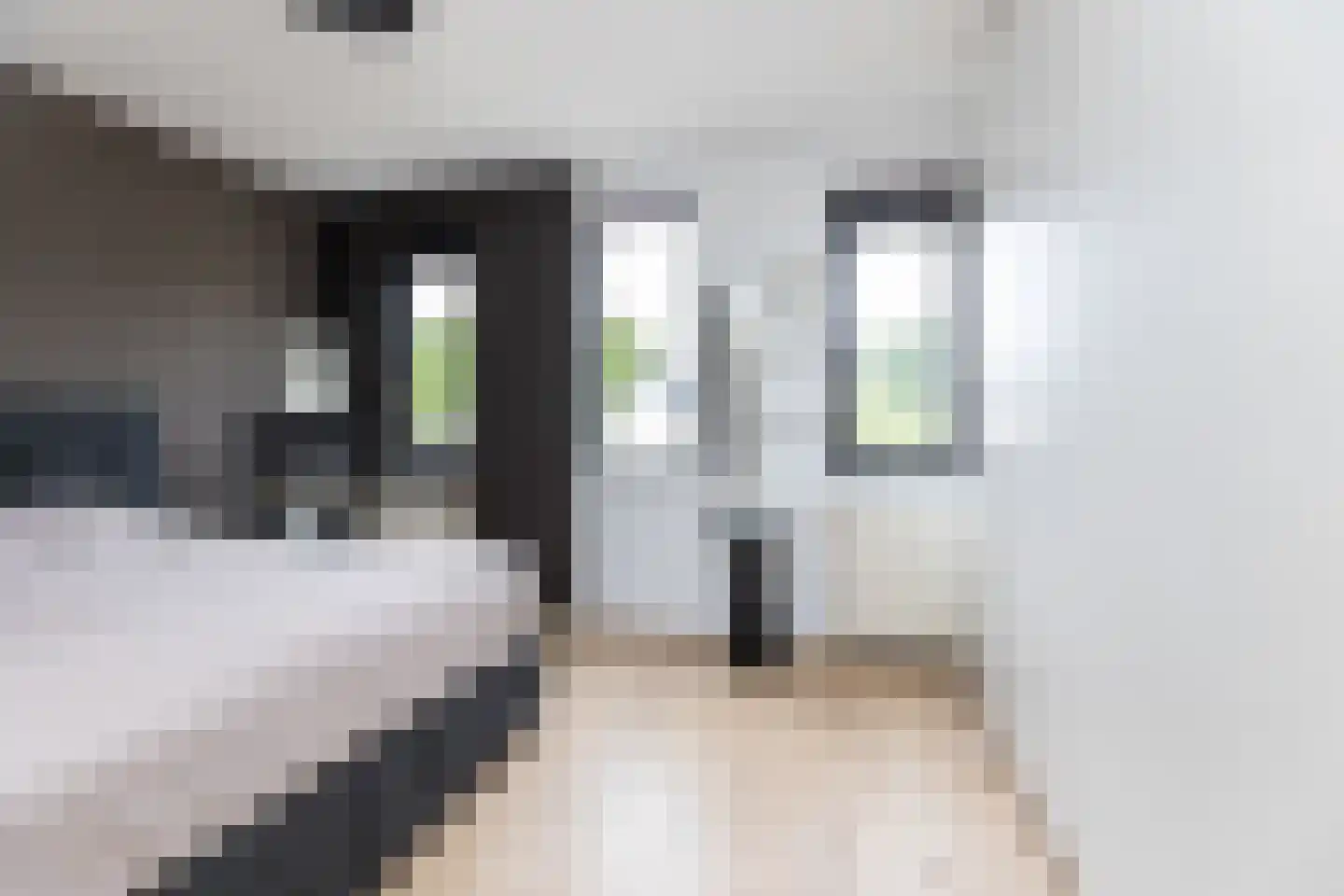 De van der Schuerenmarke 71 Zwolle thumbnail 16